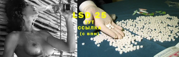 спайс Новозыбков