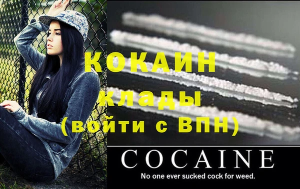 шишки Болохово
