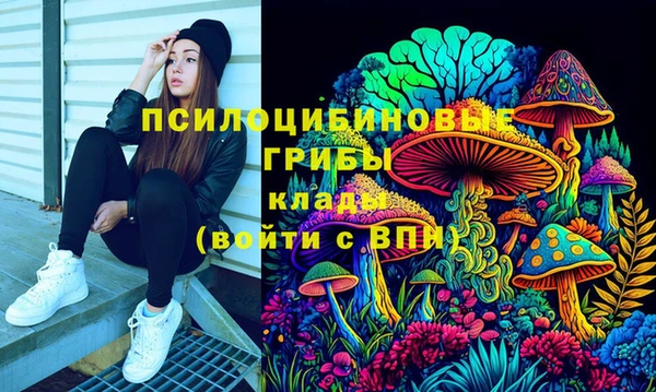 спайс Новозыбков