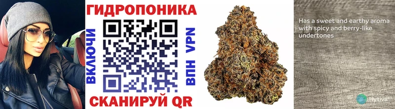 Шишки марихуана SATIVA & INDICA Полярные Зори